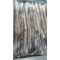 wholesale peru squid frozen giant squid tentacle